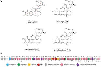 Discovery, Yield Improvement, and Application in Marine Coatings of Potent Antifouling Compounds Albofungins Targeting Multiple Fouling Organisms